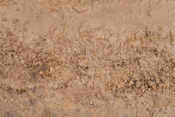 Texture of brown mud. Slobber desktop image. Brown muddy road backdrop. Wet mud on path home screen.
