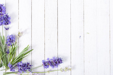 fresh lavender flowers on white wood table background