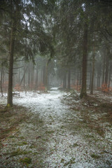 Landschaft im Winter