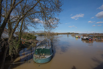 Naklejka na ściany i meble View from Elvington bridge over the flooded river Derwent