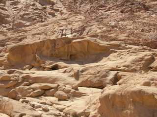 Złoty cielec - wizerunek odbity na skale w Masywie Synaju, Egipt