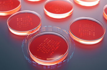 Red petri dishes with samples for DNA sequencing,3d rendering.