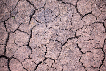 Closed up of dry break land, nature background concept.