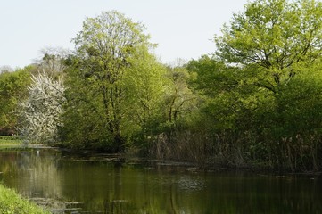 Fototapeta na wymiar Ufer Frühling Ausflug in Park