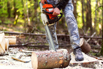 Cropped shot of lumberjack with chainsaw