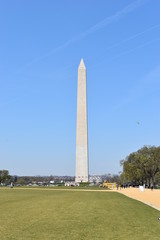 Famous Washington Monument in Washington D. C with beautiful trees with cherry blossoms in the USA