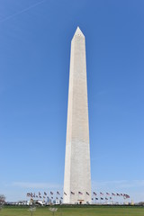 Famous Washington Monument in Washington D. C with beautiful trees with cherry blossoms in the USA