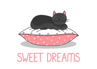 Sweet Dreams. Black cat sleeping on pink pillow on white background. Cute vector illustration.