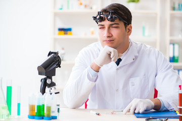 Young chemical scientist working in lab