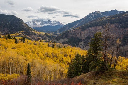 Amazing landscapes of San Juan national forest in Colorado, USA © Maygutyak