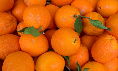 Oranges on the Market