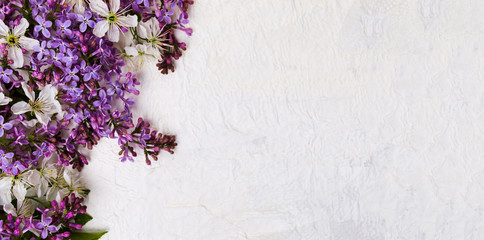 Lilac flowers arrangement on white background