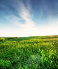 Field at the day time. Beautiful natural landscape in the summer time © biletskiyevgeniy