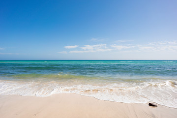 Fototapeta premium wave of blue ocean on sandy beach. Background.
