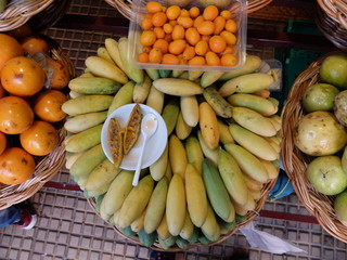 Funchal et Caniço (Madère)