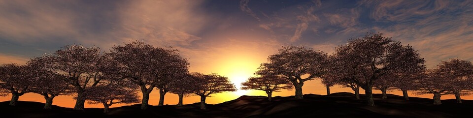 blossoming trees on a sunset background, panorama of flowering cherries under the sun,
3D rendering
