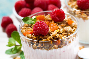 sweet dessert with granola, fresh raspberries, fruit and natural yoghurt, closeup