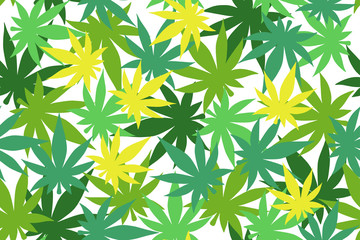  Cannabis color pattern