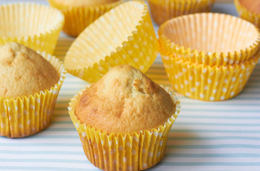 Muffins in yellow paper on a blue background.