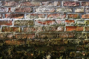 image of an old mossy wall in the daytime for background use.