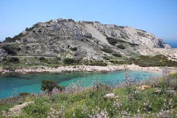 Calanques des îles du frioul à Marseille en provence