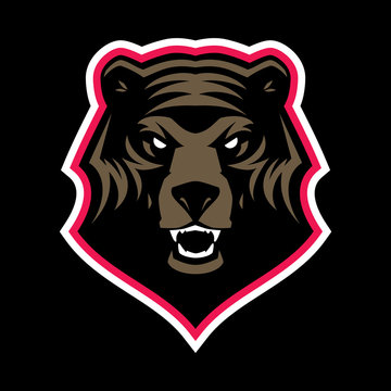 Grizzly bear head mascot, colored version. Great for sports logos & team mascots.