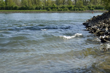  rheinufer bei eich