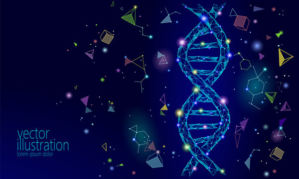 DNA 3D chemical molecule structure low poly. Polygonal triangle point line healthy cell part. Microscopic science blue medicine genome engineering vector illustration future business technology
