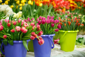 Multicolored bouquets of tulips on the counter of a flower shop.