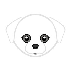 Cute maltese dog avatar