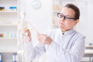 Woman doctor studying human skeleton