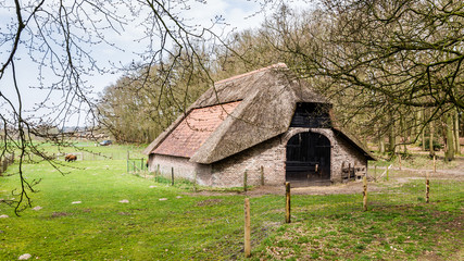 Fototapeta na wymiar Rustic wooden sheep barn in the Netherlands