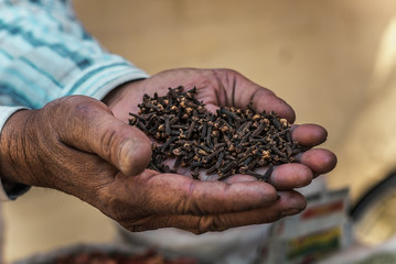 spices carnations in male hands