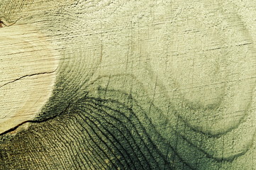 A wooden surface with a beautiful texture. Wide rounded lines on the board.  Toned.
