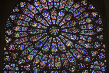 Paris, France, katedra Notre Dame 