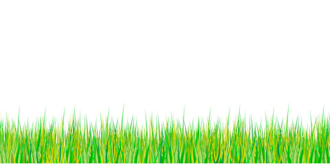 Obraz premium Spring grass seamless pattern. Easter decoration with spring grass and meadow flowers. Isolated on white background. Vector