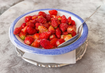 Strawberry with sugar powder in ceramic bowl