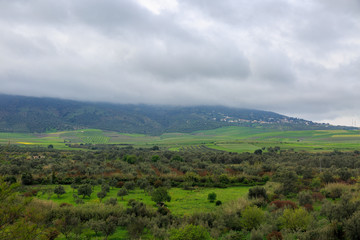 Landscape with dramatic sky