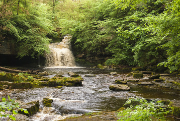 Cauldron Falls / West Burton Falls near the yorkshire dales village of West Burton, Yorkshire, England. 13 May 2007