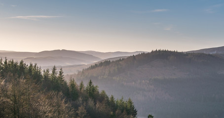 Misty Hills with Forest at Dusk in the Scottish Borders