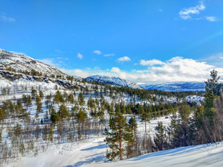 Fototapeta na wymiar Wonderful day in Northern Norway