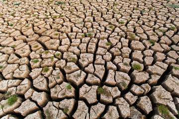 Cracked dry land without water.Abstract background.