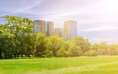 Obraz premium City park under blue sky with building background