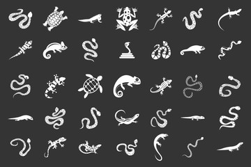 Reptile icon set vector white isolated on grey background 