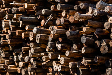 Natural wooden background - closeup of chopped firewood.
