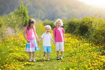 Fototapeta premium Kids play. Child in dandelion field. Summer flower