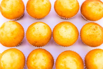 Muffin isolated on white background