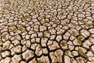Cracked dry land without water.Abstract background.
