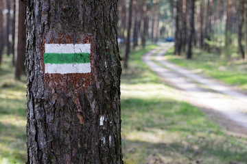 Marking tourist routes on a tree in the forest. Trees with signs for use in the field.