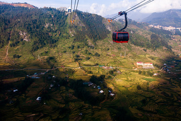 Rice fields at Northwest Vietnam